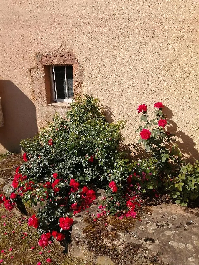 Holiday home La Maison Des Rosiers Manhac France